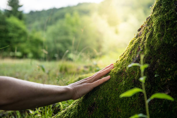 Best Residential Tree Removal  in , KY